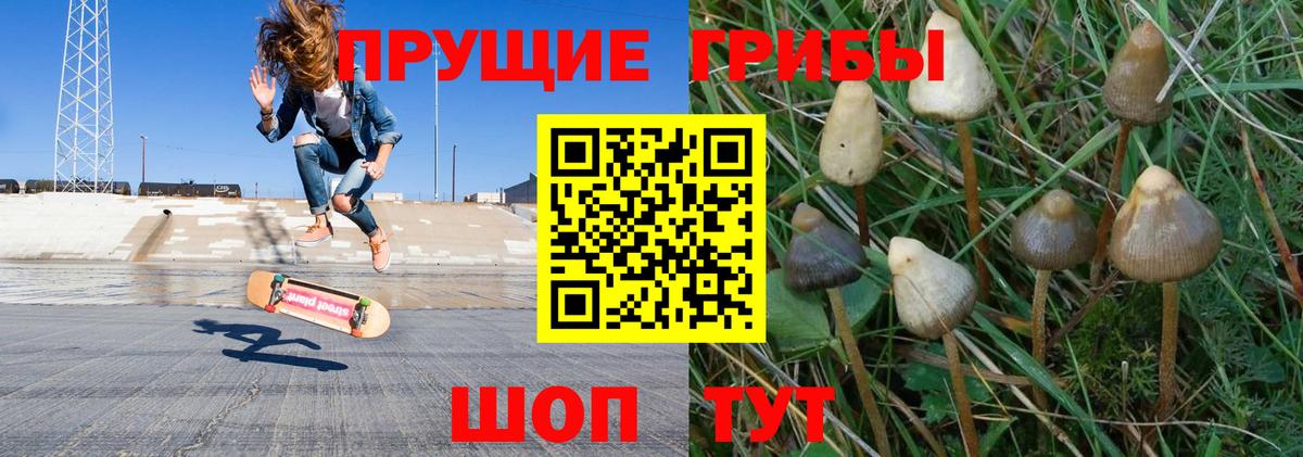 Псилоцибиновые грибы MAGIC MUSHROOMS Удомля